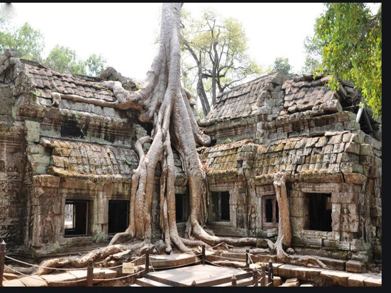 Angkor Wat 7-3